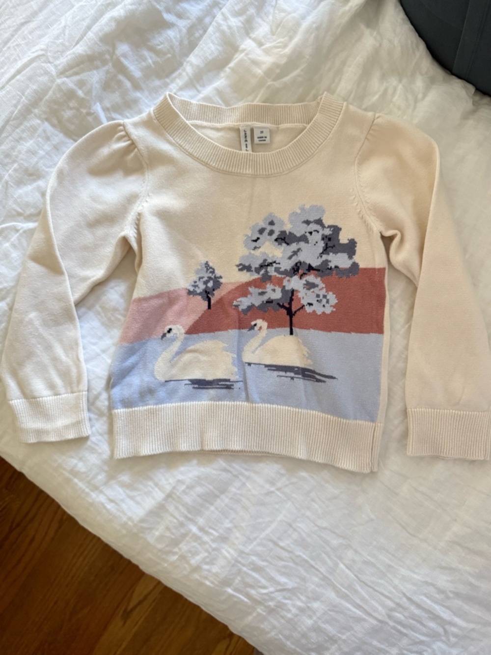 Janie and Jack Cream Sweater with Swan Scene
